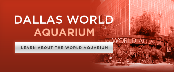 Dallas World Aquarium