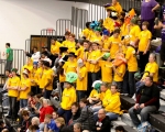 adambots-in-stands